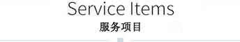 服务项目
